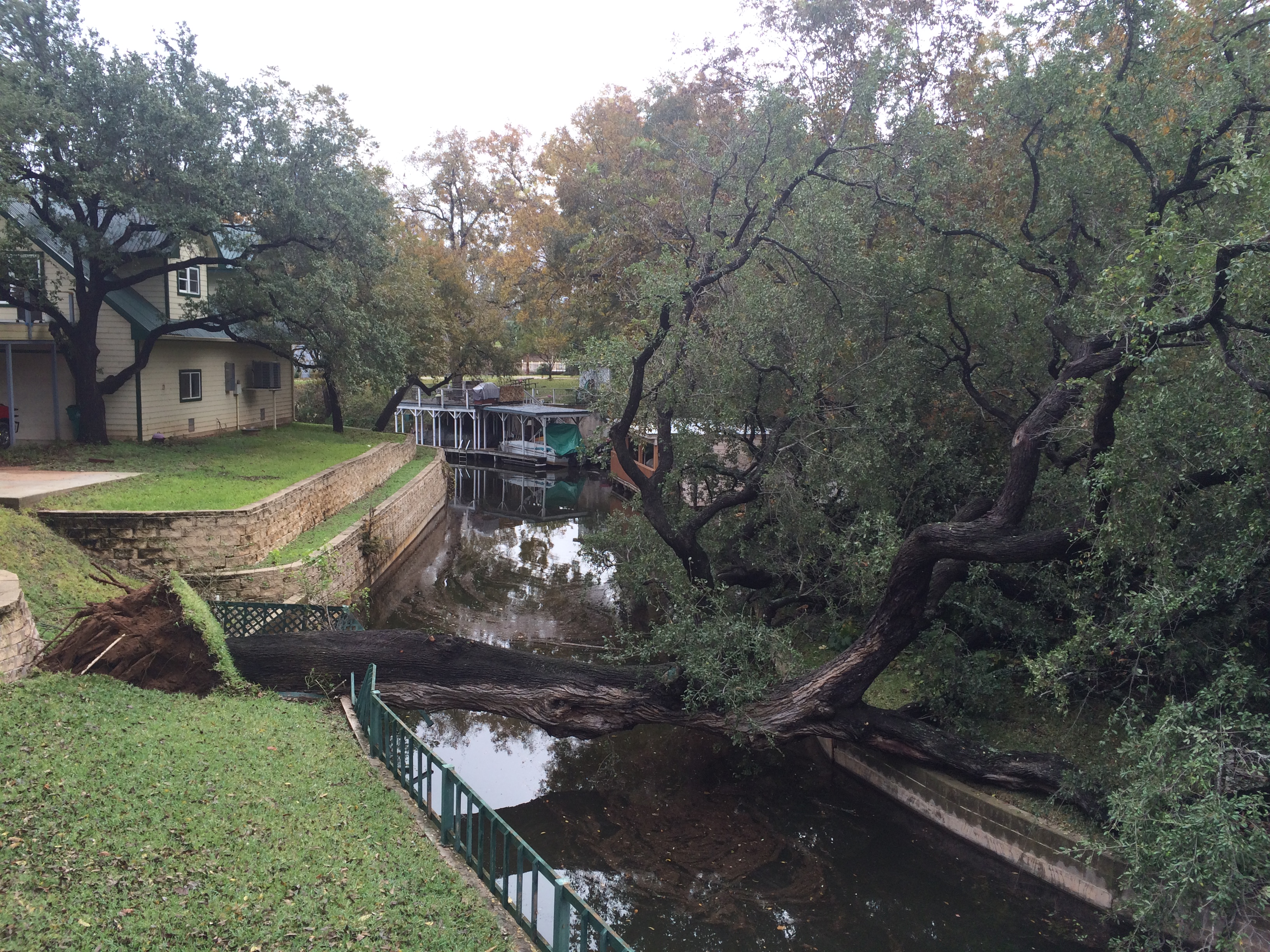 Large storm-fallen oak tree across a canal near a Kingsland, TX home, cleared by Riggs Tree Service